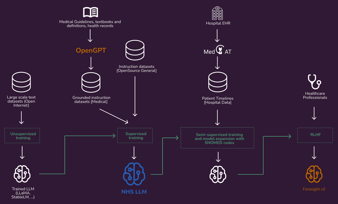 Healthcare LLMs & Medical AI