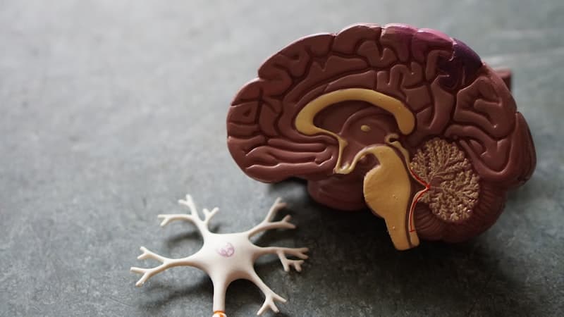 Illustration for MONAI – Medical Imaging AI